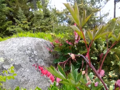 Kitchen Garden Café