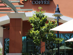 Klatch Coffee Ontario