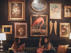 Knucklebones Elixir Co