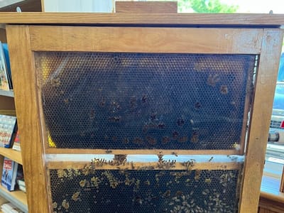 Koch's General Store