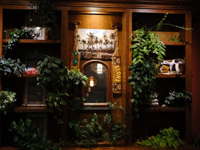 Kona Loa Coffee Mission Viejo