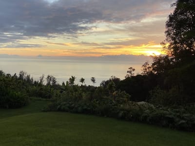 Kona Rainforest Organic Coffee Farm