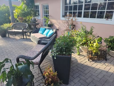 Kunjani Craft Coffee & Gallery