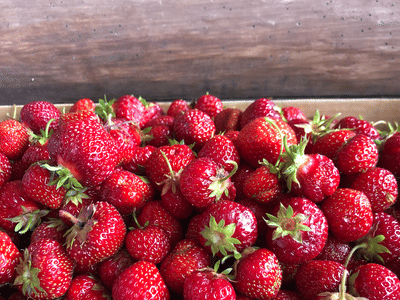 Kunnari's Farm Market