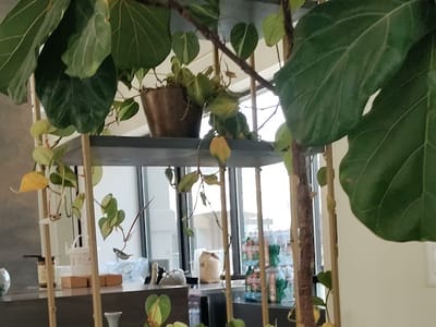 La Barba Coffee - The Gateway