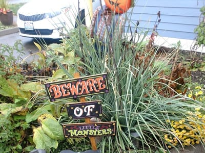 La Bella Bean Espresso