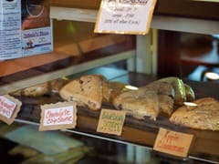 LaJava Express - Inside Zesty's