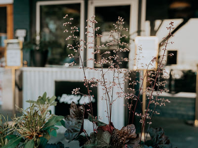 Lamplighter Coffee Roasters - Addison St