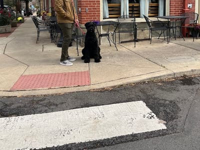 Langhorne Coffee House