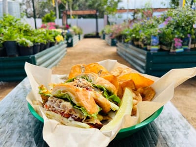 Lantern Ridge Farm Market + Nursery