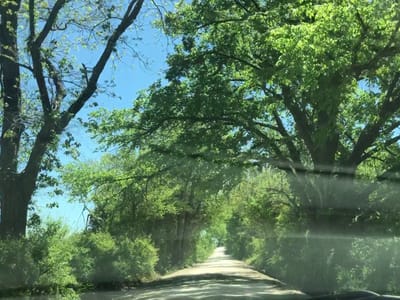 Lavender Ridge Farms & Café