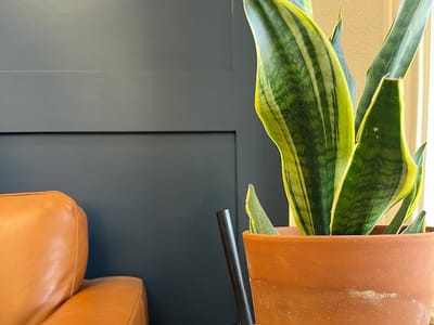 Leaf & Bubble Tea Shop