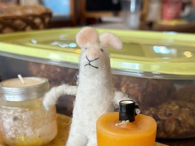 Let’s Shine Coffee