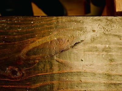 Libertalia Coffee Co.