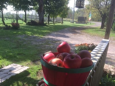 Licks Orchard Gifts and Music