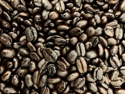 Lifeline Coffee Roasters