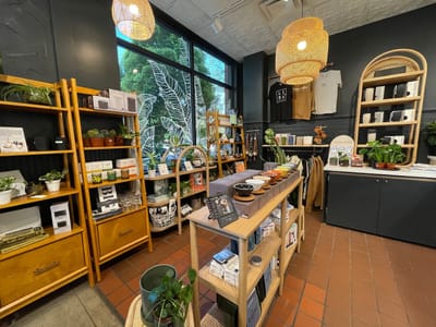 Lima Coffee Roasters - Old Town Coffee Shop