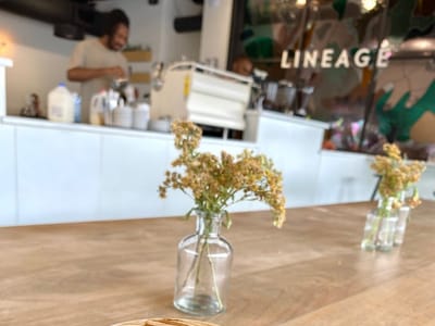 Lineage Coffee
