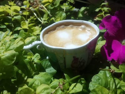 Little Espresso Shop