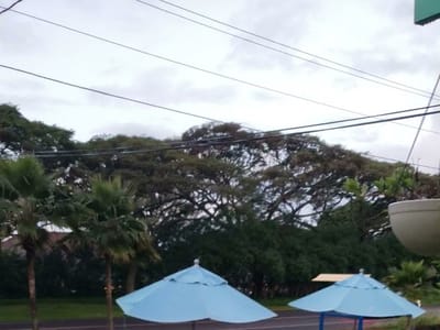 Little Fish Coffee Poipu