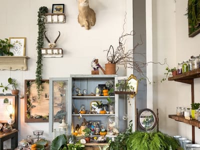 Little Green A Plant Bar