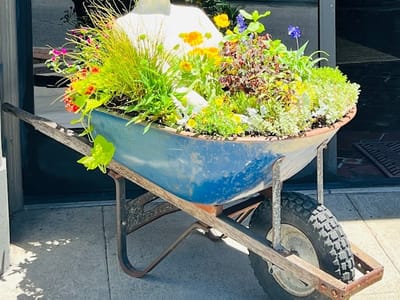 Little Green A Plant Bar