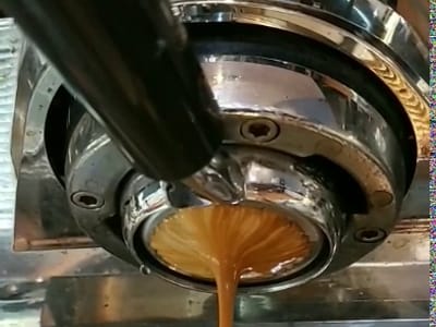 Little Green Hive Grandin