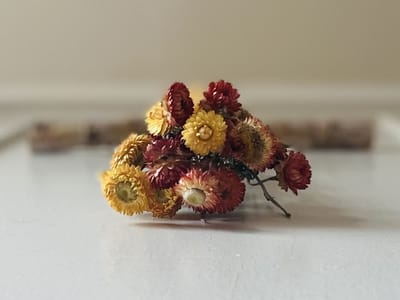 little lamb coffee & clay: a mobile shop