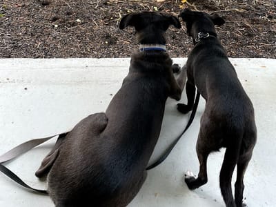 Little Milam, coffee, wine & eatery