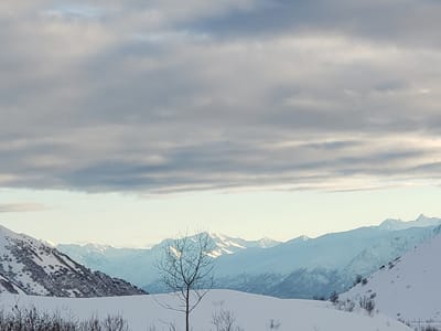 Little Susitna Coffee