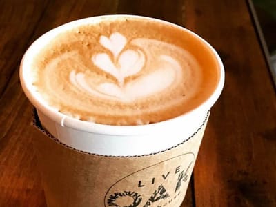Live Oak Coffeehouse