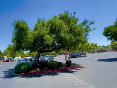 Living Room Coffee Craft