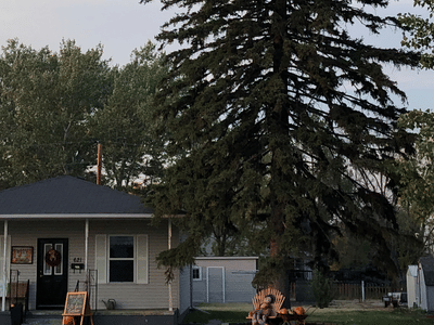 LOCAL Gift boutique and Tea Lounge