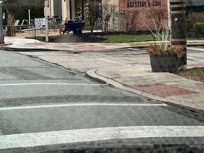 Locals Coffee - Roastery & Cafe