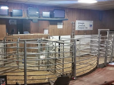 Longhorn Street Cafe