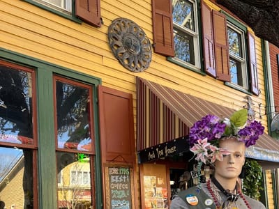 Lost Dog Coffee Fine Arts Drink Emporium