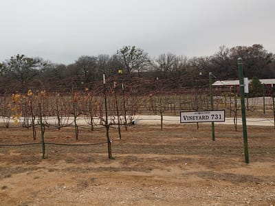 Lost Oak Tasting room