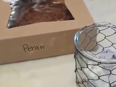 Lowcountry Cider Co. & Superior Coffee Sea Island