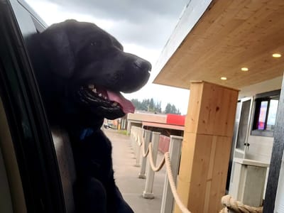 Luckman Coffee Company