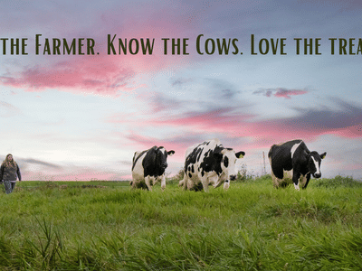 Lucky Cow Coffee and Gelato