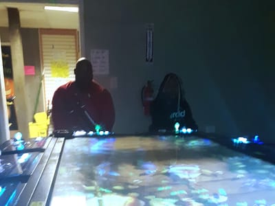 Lucky Duck Sweepstakes