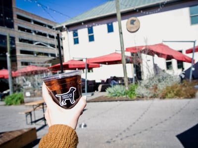 Lucky Lab Coffee Co.