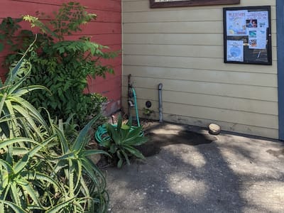 Lucky Llama Coffee House