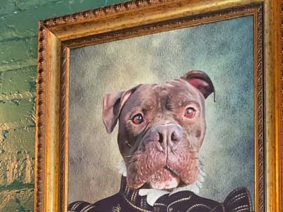 Ludlow Charlingtons Coffee Shop