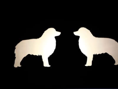 Maddie & Bella Coffee Roasters