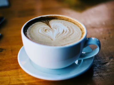 Magnolias Sous Le Pont