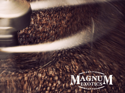 Magnum Coffee Roastery Café & Store