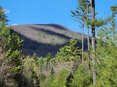 Maine Morning Micro Roasters