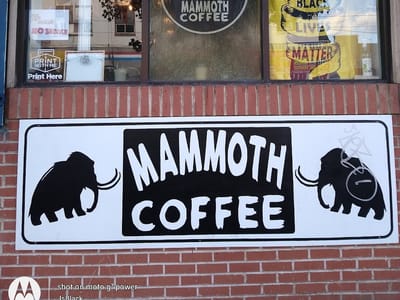 Mammoth Coffee