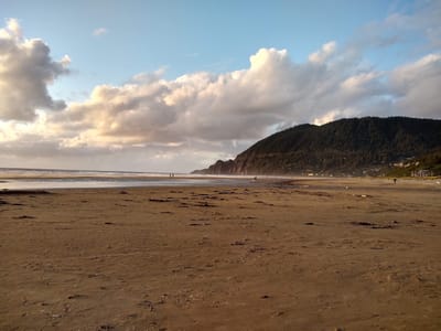 Manzanita Coffee Co.